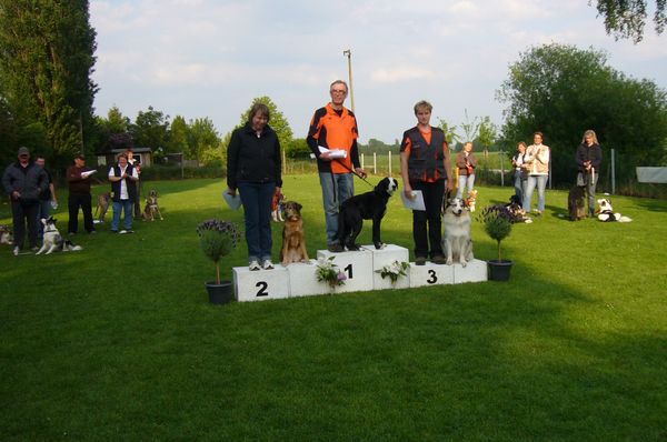 Siegertreppchen Obedience Landesverbandssiegerprüfung 2010